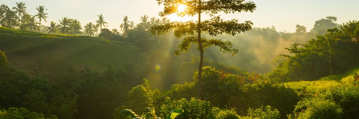 Les engagements environnementaux de Polytropic