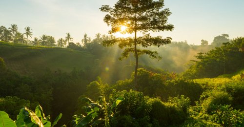 Les engagements environnementaux de Polytropic