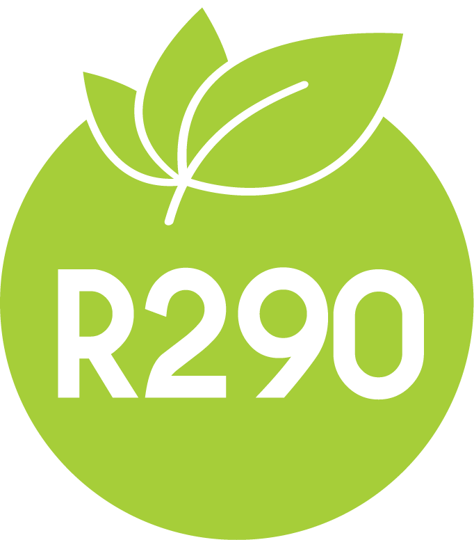 Logo du gaz R290 avec une feuille verte