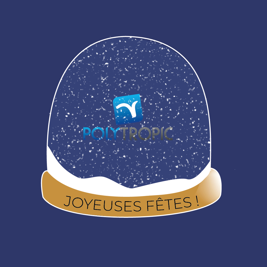 Gif pour les fêtes de noël avec le logo dans une boule de neige
